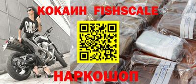 гидропоника Гатчина