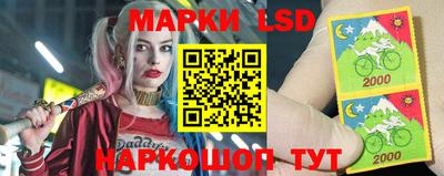 гидропоника Гатчина