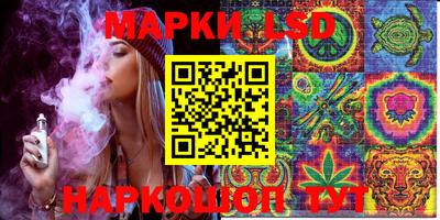 гидропоника Гатчина