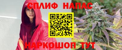 PSILOCYBIN Гай